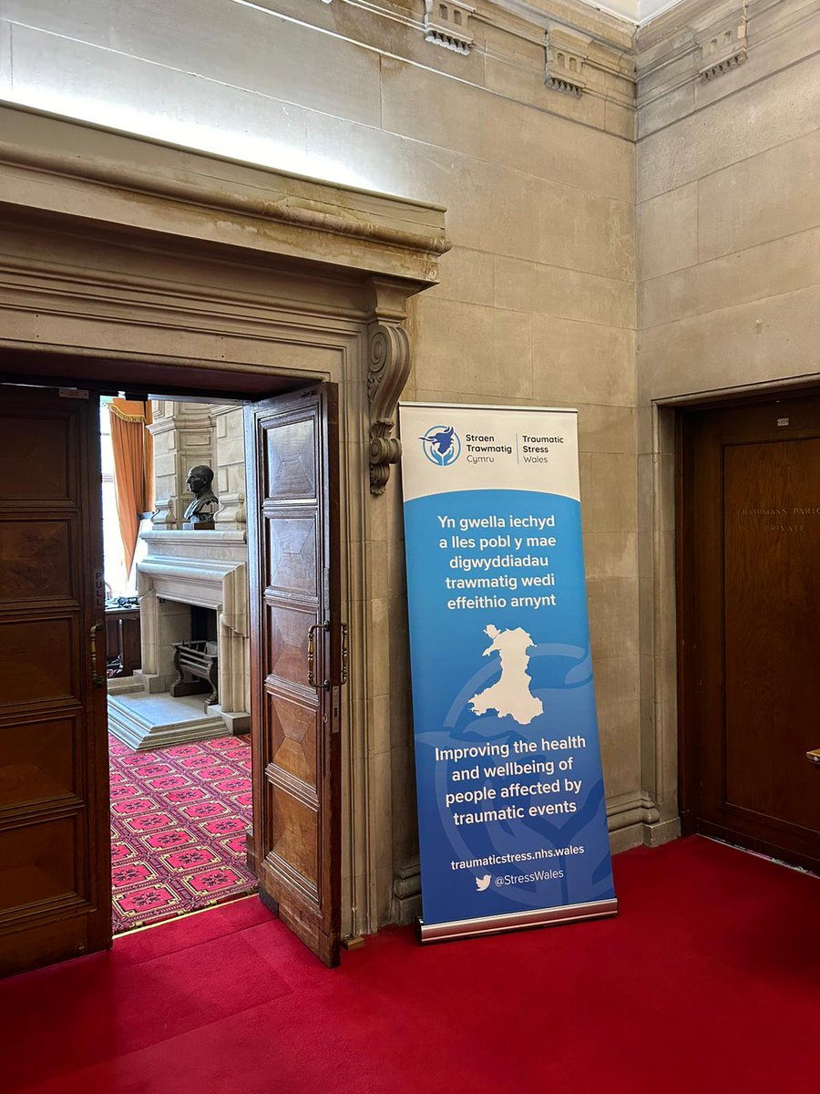 “The Pre-Trial Therapy and Support Services in Wales Cross-Sector Symposium - What Next?” Bluestar Event at Cardiff University this week. Very engaging and thought-provoking