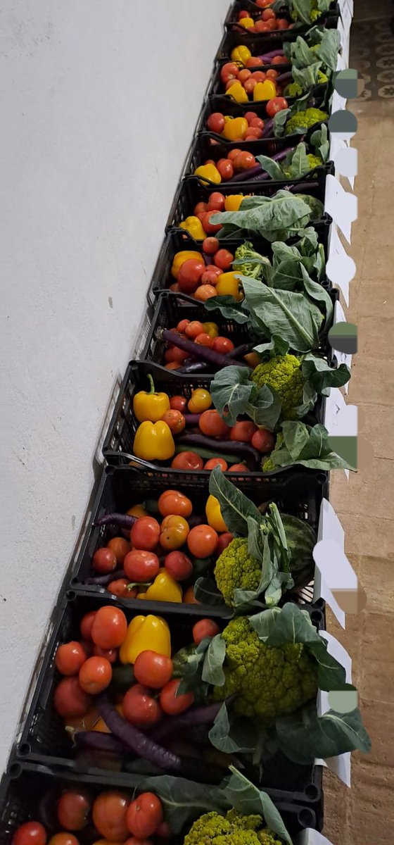 alimentsmaresme's tweet image. La nostra xaxa de col·laboradores és imprescindible per repartir cada setmana  el cabàs de #CalComú de #Cabrils
Gràcies al banc d'aliments de @Mercabarna_mb, @lanau_org,  @espigoladors i @irtacat
@cpatzari @tweetplanetario @ajcabrils