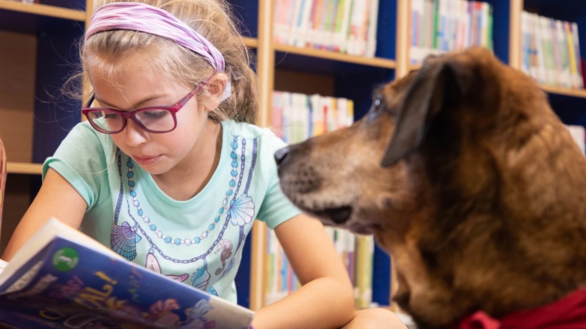 Whether your children have fur or not, celebrate #NationalReadAcrossAmericaDay with them & us!

(Photo by PFC Laurie Ellen Wash)

#ARCP #ReadABook  #BookLovers #PetReaders #LiteracyMatters #BookwormCommunity #AnimalLoversRead #ReadingWithPets #LiteracyForAll #ReadTogether