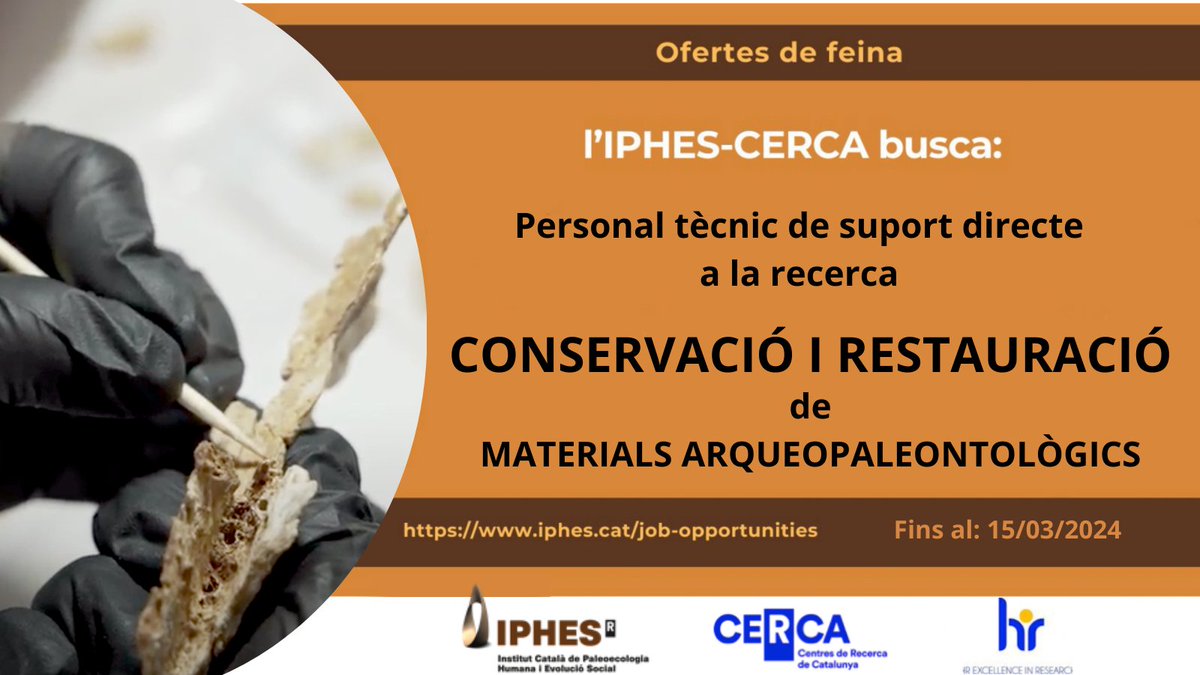 IPHES-CERCA tweet media