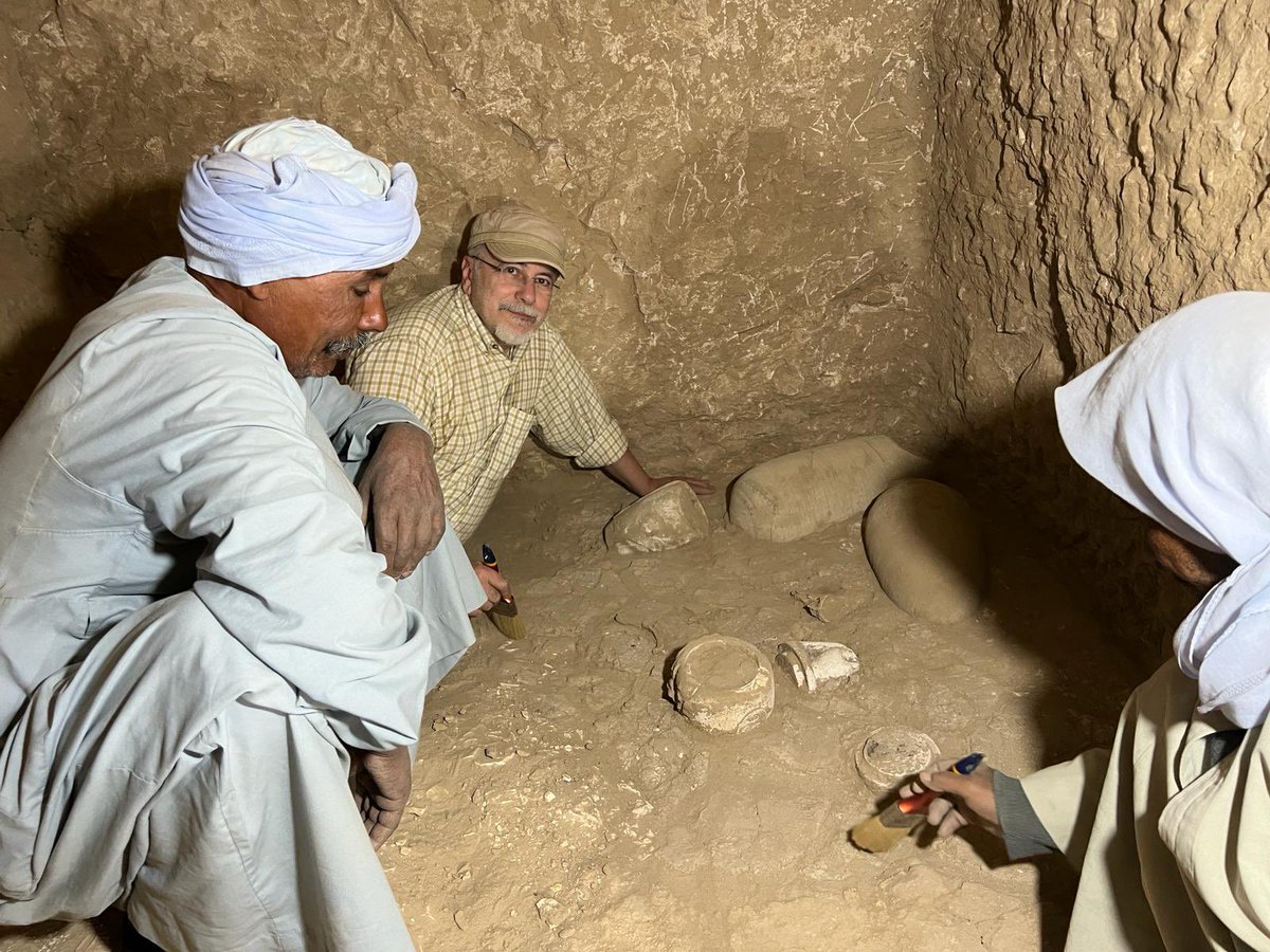 Proyecto dos cero nueve - TT 209 tweet media