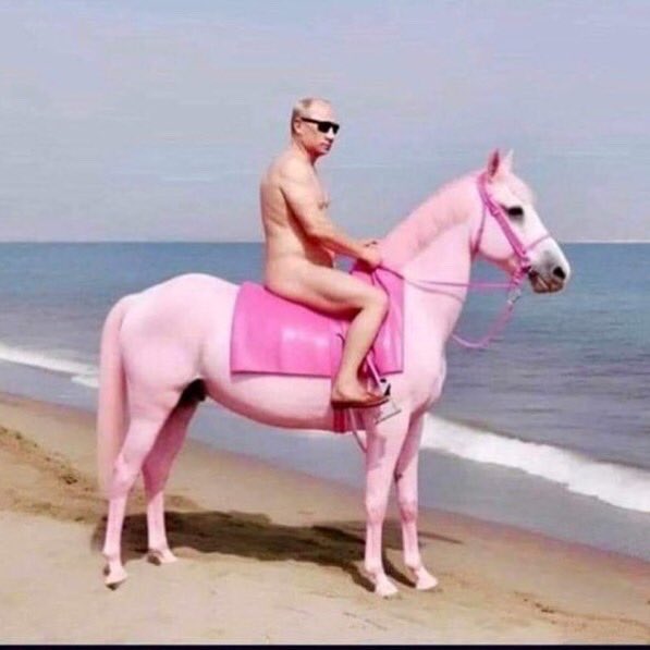 Laurent__K's tweet image. Il manque leur leader sur les photos de canassons sur la plage 🤣
#MarinePoutine