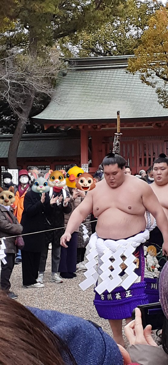 たまたまパワースポットらしいからと家族で行ってみた住吉大社で、
横綱 #照ノ富士 の #土俵入り がたまたま見れて凄くご利益感じた😀