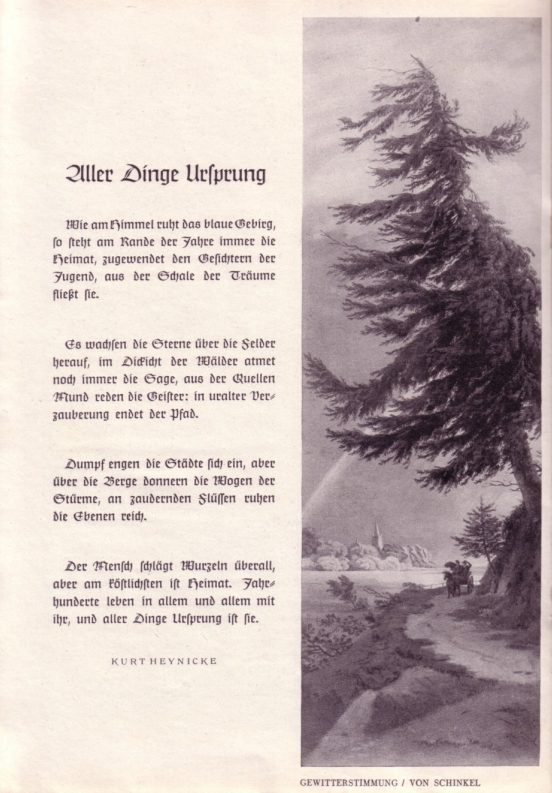 Iwobrand (@iwobrand) on Twitter photo 