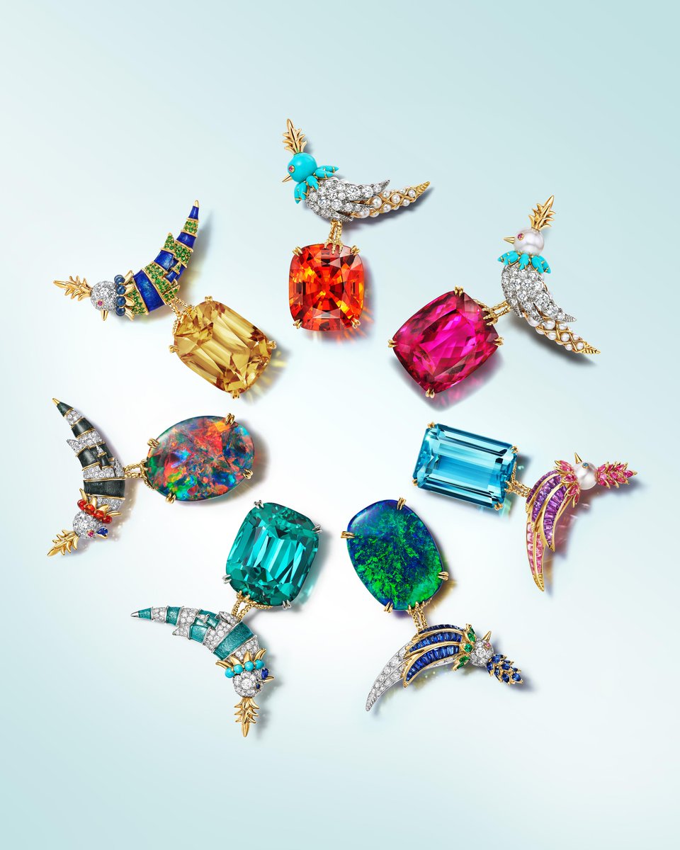 Introduced in 1965 by #JeanSchlumberger, the Bird on a Rock is a symbol of joy, possibility and freedom. Here, a new interpretation of the bird takes flight with a mix of colorful gemstones, pearls and paillonné enamel—ushering in a new era of creativity: bit.ly/3wFV5NN