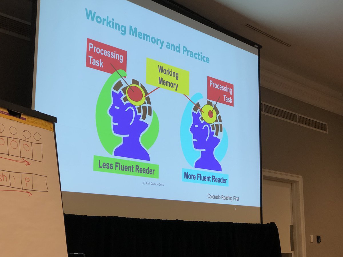 I’ve been waiting on this session ALL DAY! Judith Dodson is a Jewel and I love sitting under her teaching. Her lessons on Knowledges of the Brain are thought provoking and helps us reflect on teaching practices. #PGCPSSOR24 #PGCPSK5RELA