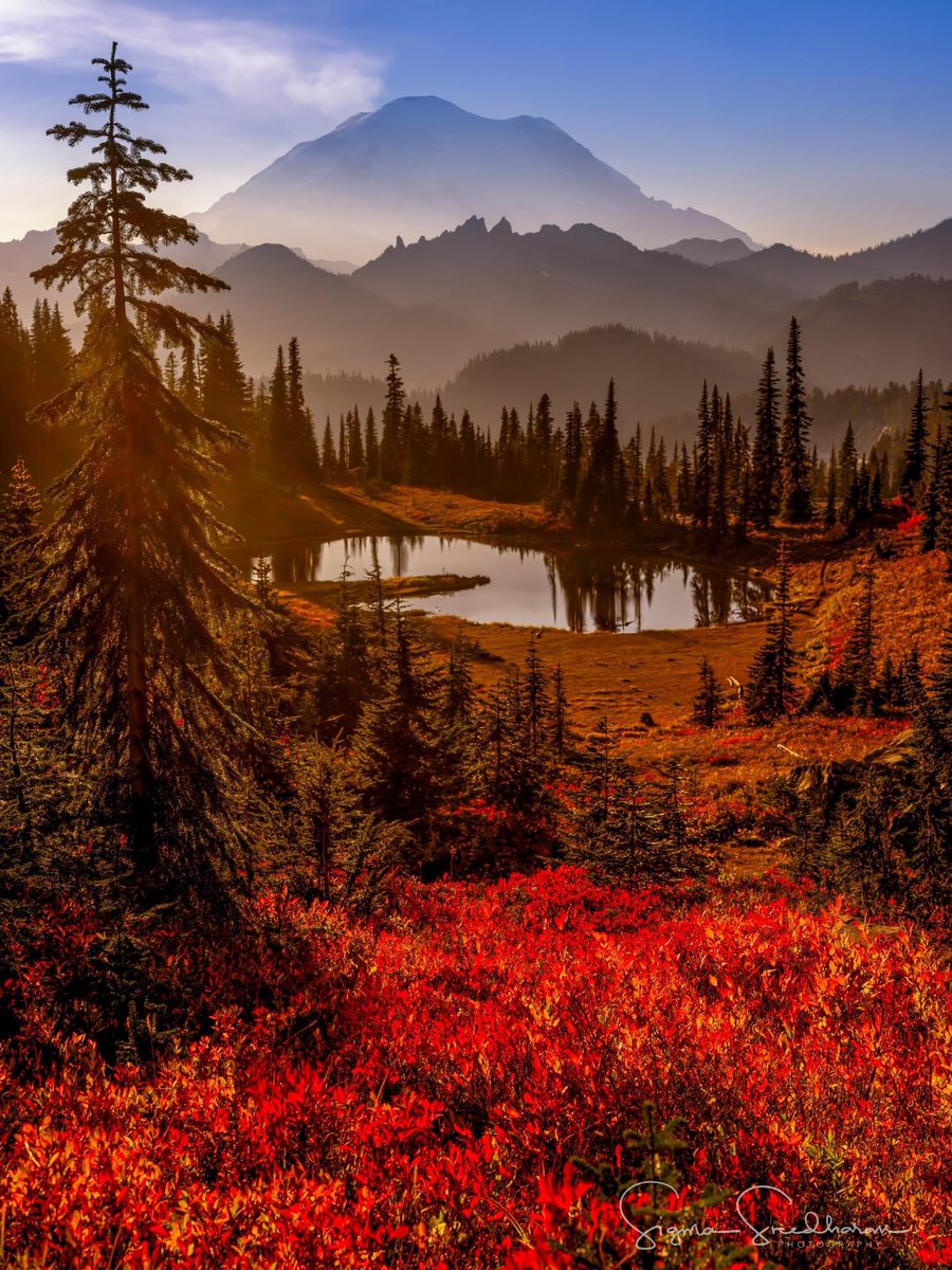 Happy quasquicentennial (125th) anniversary, Mount Rainier National Park! I will never get tired of photographing Tahoma!