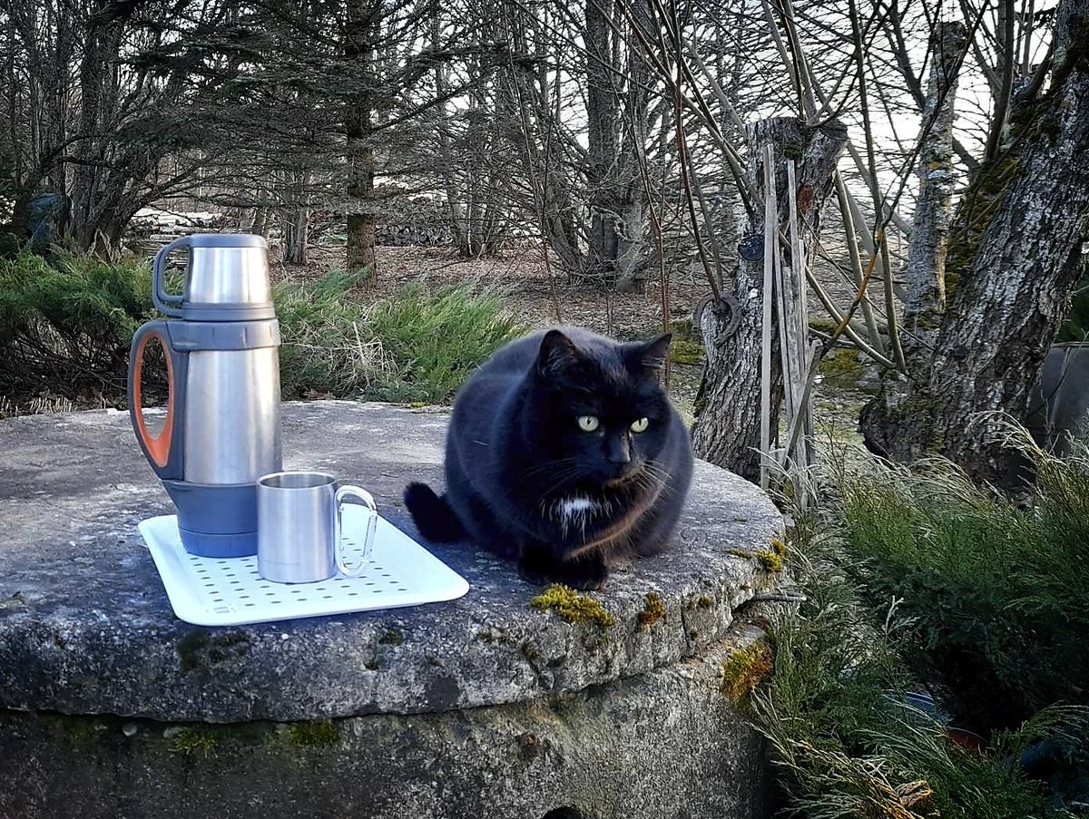 vkoralis's tweet image. PIRMS PAVASARA DARBIEM
#sēta #lauki #pavasaris #keta