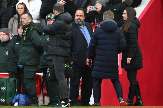 Nottingham Forest owner Evangelos Marinakis shouts at Paul Tierney : 'Respect the players! This happens every week!' 
MY OWNER! 
#NFFC #NFOLIV