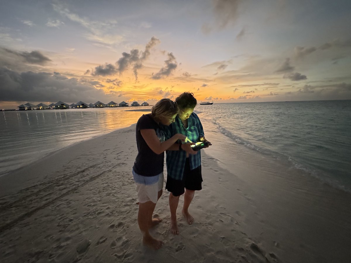 Iain Couzin tweet media