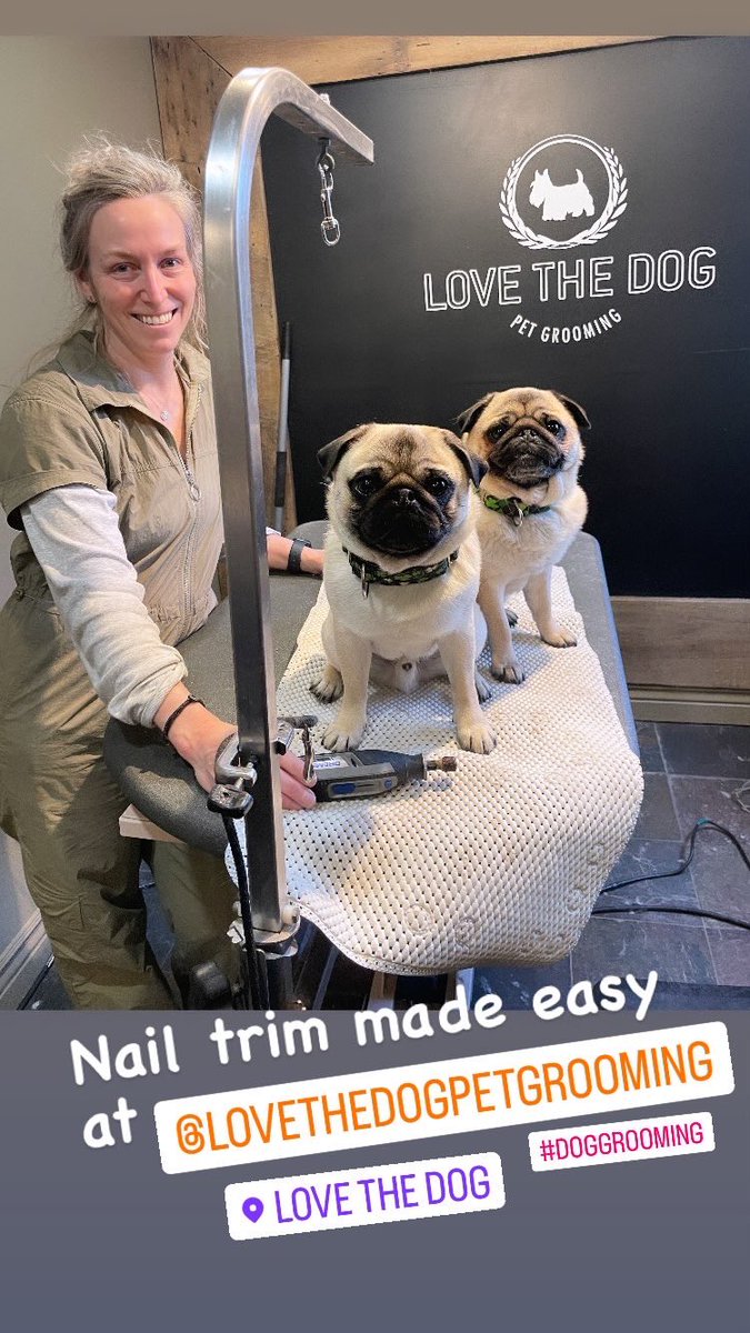 And we can walk there! #supportlocal 

#pug #doggroomer #doggroomer #ldnont