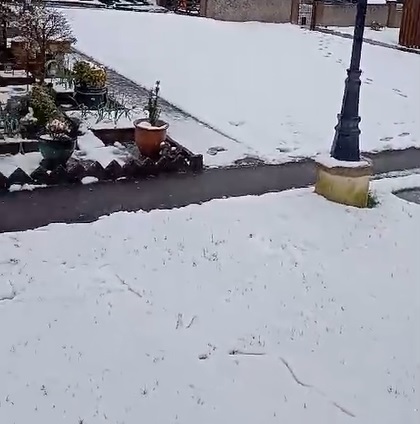 JustUseOil's tweet image. 📢We are boiling!  #ClimateScam #ClimateCult #ScrapNetZero #NetZero