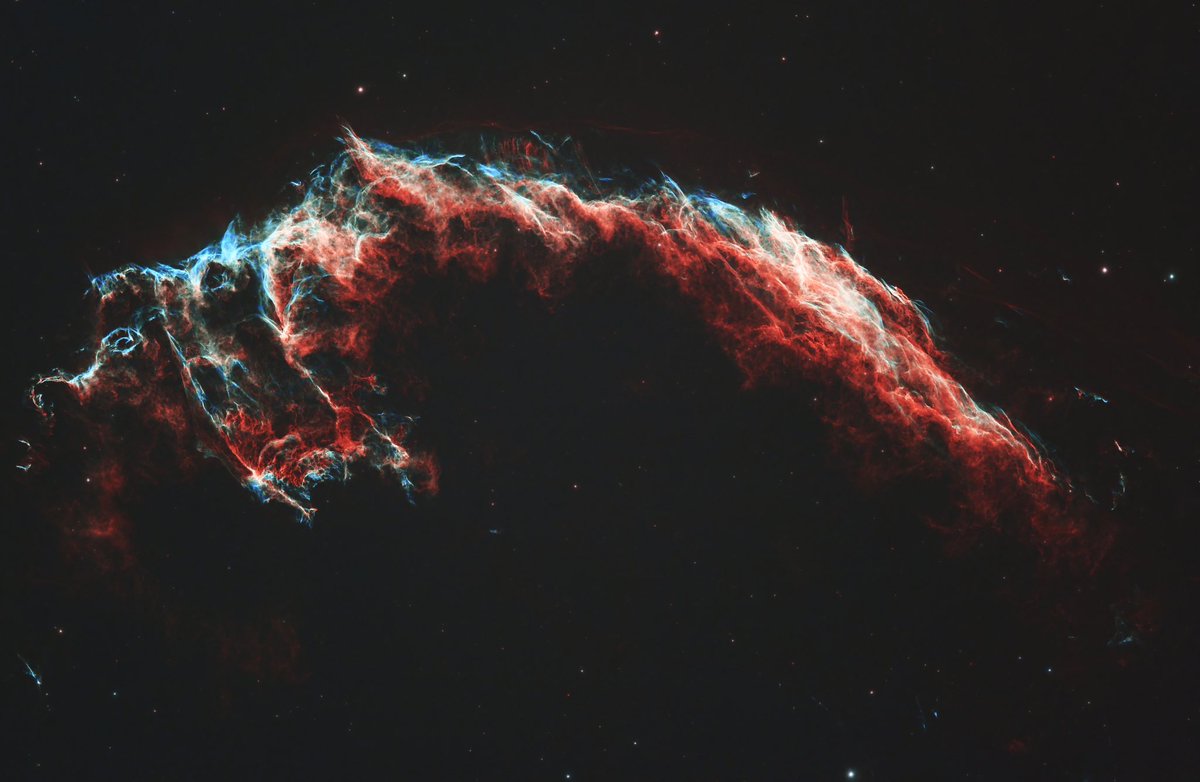 David Lowndes tweet media