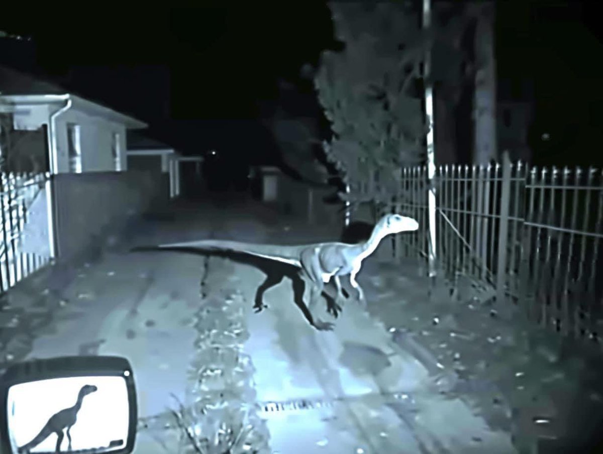 กลางดึกที่กาฬสินธุ์