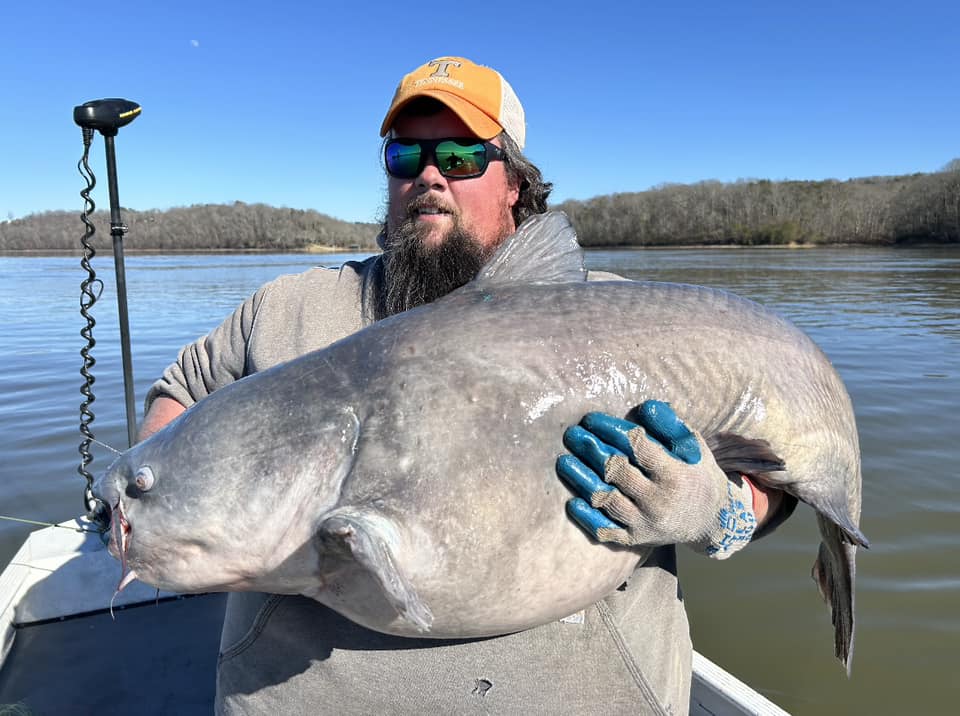 WhiskerSeekerTackle on X: Chris Johnson caught a MONSTA using the Triple  Threat Catfish Hooks. The #1 Hook Among Catfish Anglers.   / X