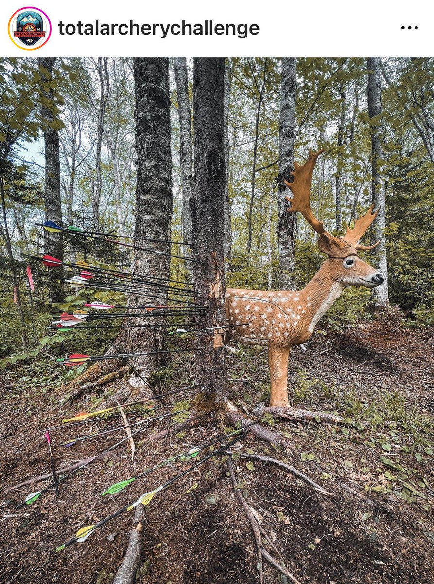 ToddDavis19's tweet image. Don’t shoot the tree, don’t shoot the tree…