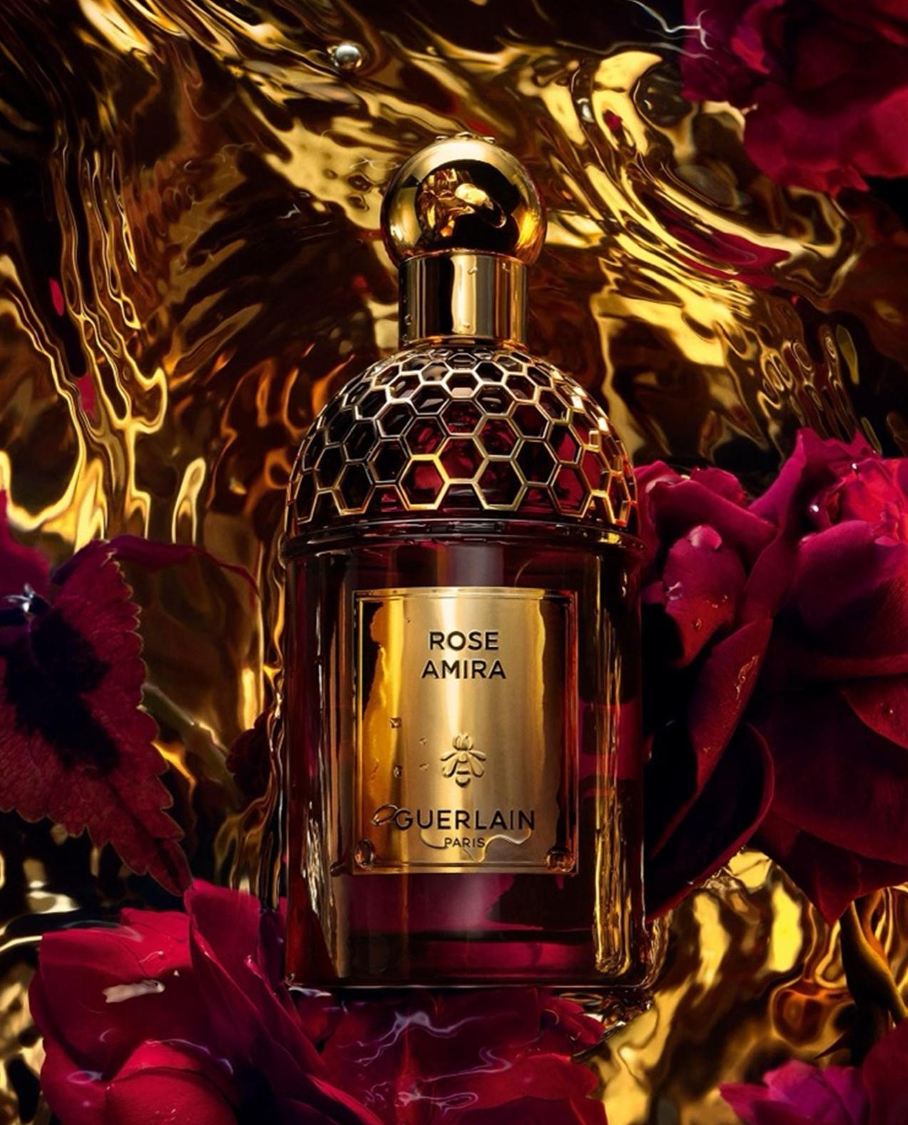 Nstperfume on sale