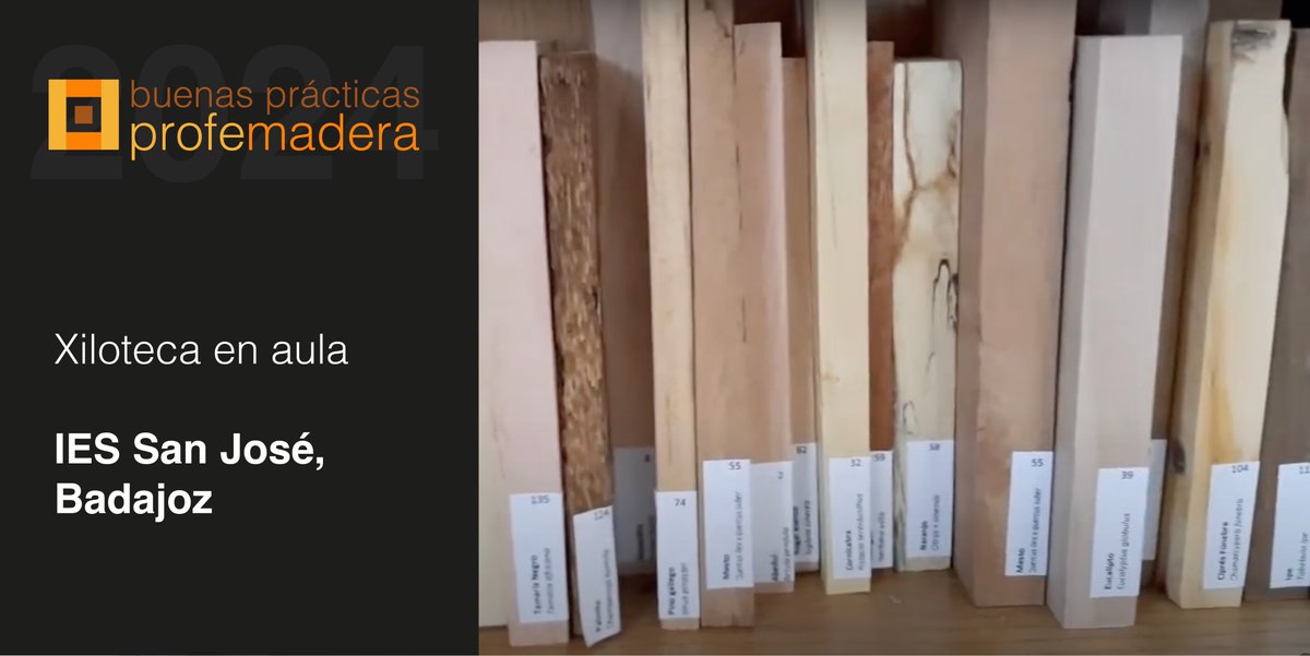 profemadera's tweet photo. En respuesta a la convocatoria de #buenaspracticas Profemadera  2024, el IES San José comparte su Xiloteca en aula, un proyecto que fomenta la participación de los y las estudiantes y favorece que aprecien nuestros recursos naturales.
#FP #formacionprofesional https://t.co/JywUqI93Hi