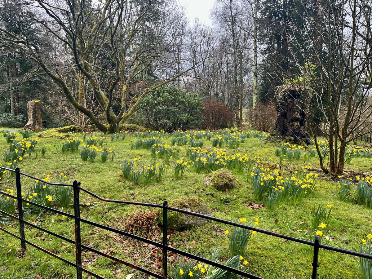 Spring is definitely here in Rydal. Beautiful day for a walk.