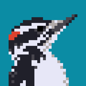 feathertrail's tweet image. Feather Trail is now listed on the Steam store, please take a minute to wishlist it! store.steampowered.com/app/2857180/Fe…

Identify real-world bird species through timing-based minigames while exploring an open world of pixel habitats.
#gamedev #GodotEngine #indiedev #birdingRPG