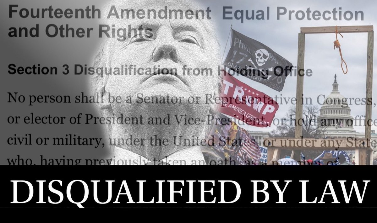 MadeInTheUSANJ's tweet image. We the People demand the Law of the Land is observed.

Donald John Trump is clearly disqualified BY LAW from holding public office of any kind.

STOP THE LIES!

#14thAmendmentSection3
#DisqualificationClause