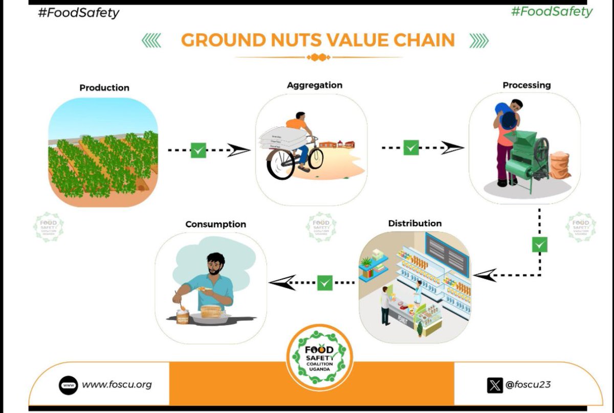 FOOD SAFETY ALERT!! To derive the commercial and dietary benefits of ground nuts, their quality and safety standards must be maintained from PRODUCTION to CONSUMPTION!! #FoodSafey | @foscu23 | foscu.org