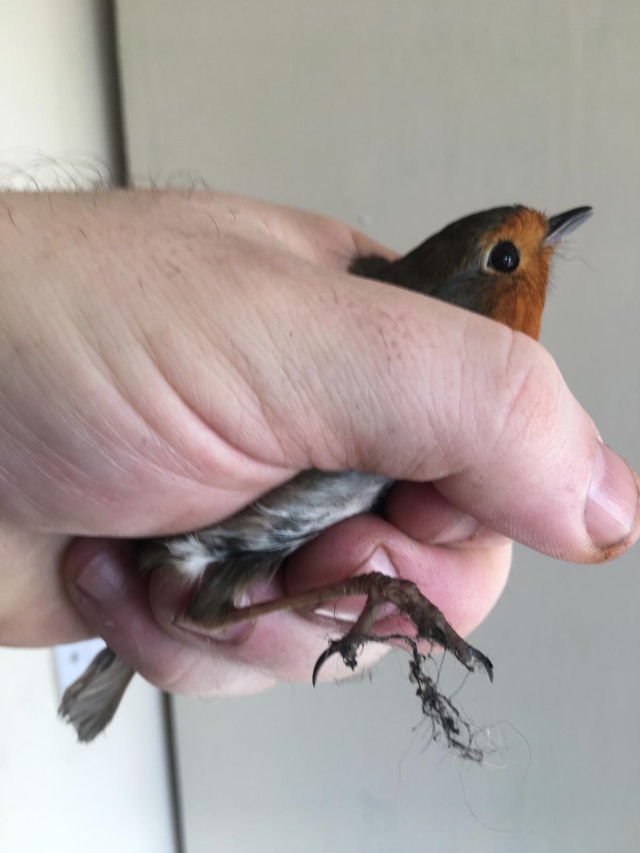 Peter Jordan PhD tweet media