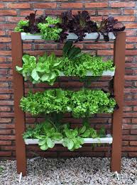 VonFonay's tweet photo. El Ingenio es una herramienta clave en la #HuertaUrbana : Libera endorfinas y captura sabrosas ensaladas ! Con @SouthOrganics https://t.co/sskZpuXo7o