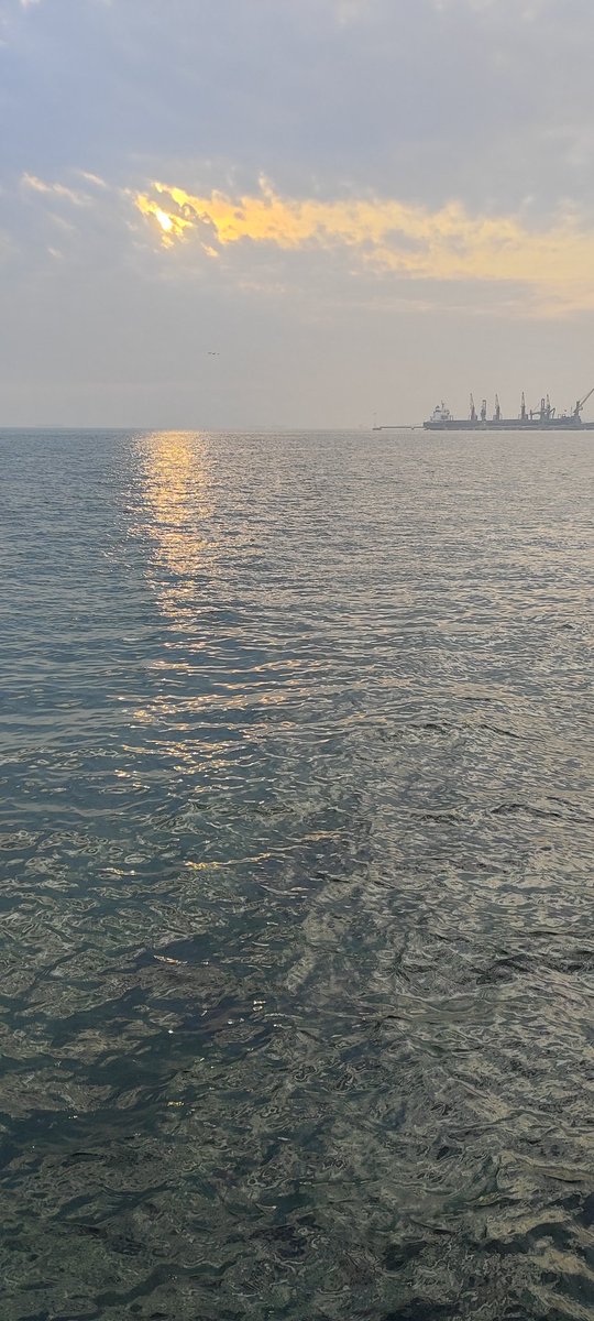 Körfezden deniz manzarası eşliğinde tüm arkadaşlara selamlar