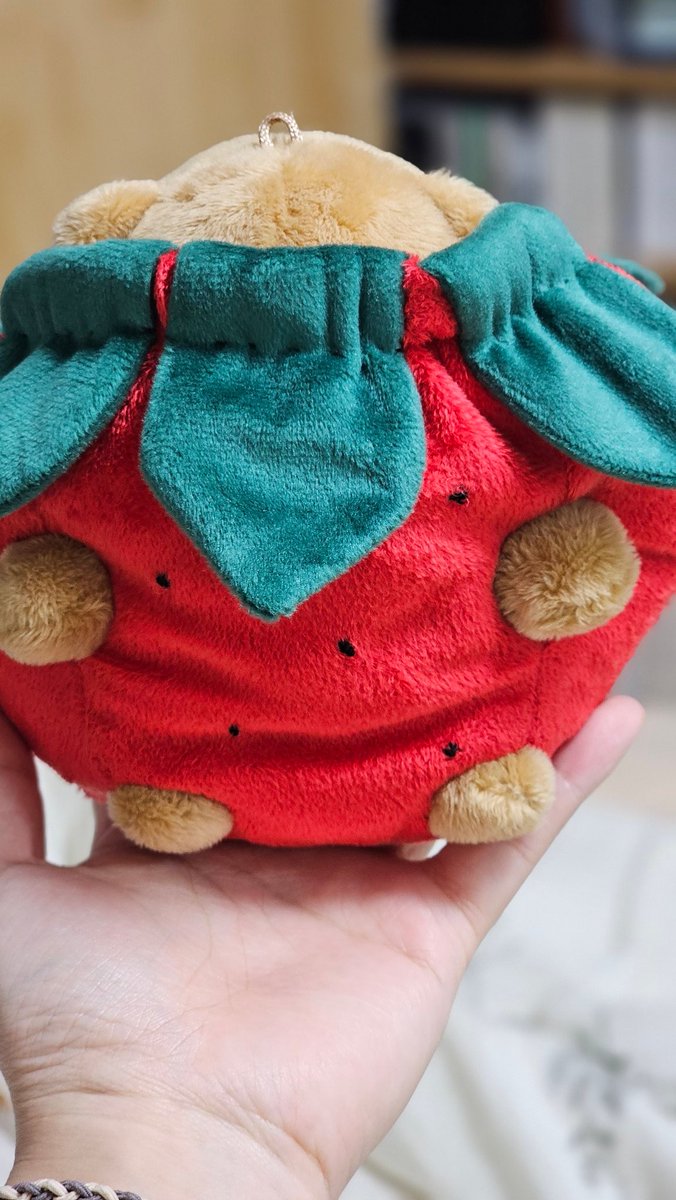 집에있는 몬엑 오피셜 인형들 제외하고
유일하게 딸기옷이 맞는 빵고미
셔누는 옷도 안가려😎
(만랭쓰랑 햄상슥은 팔다리가 짧아서 탈락🙃)