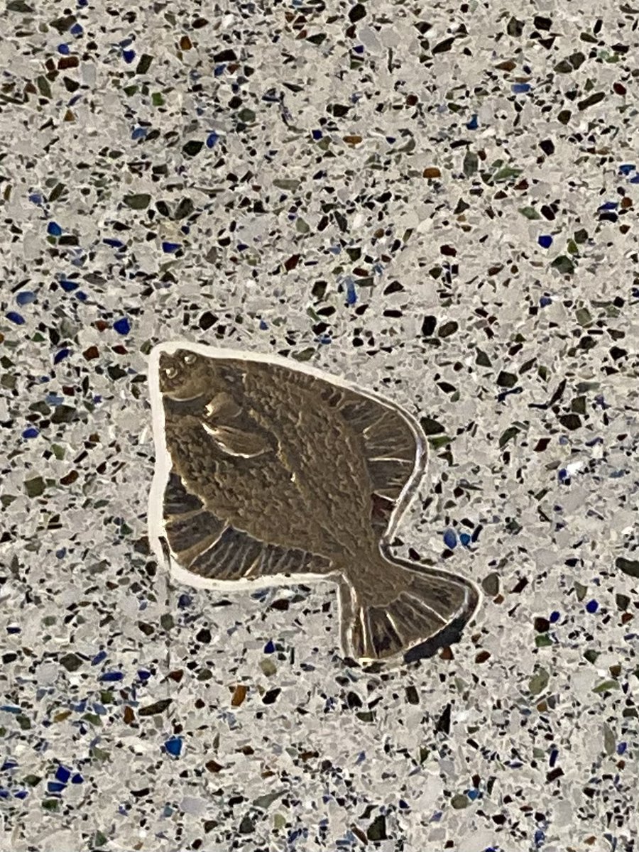 Being greeted at the airport by this little flatfish on the floor, it’s off to a good start for the #WFC2024 ! 🎣