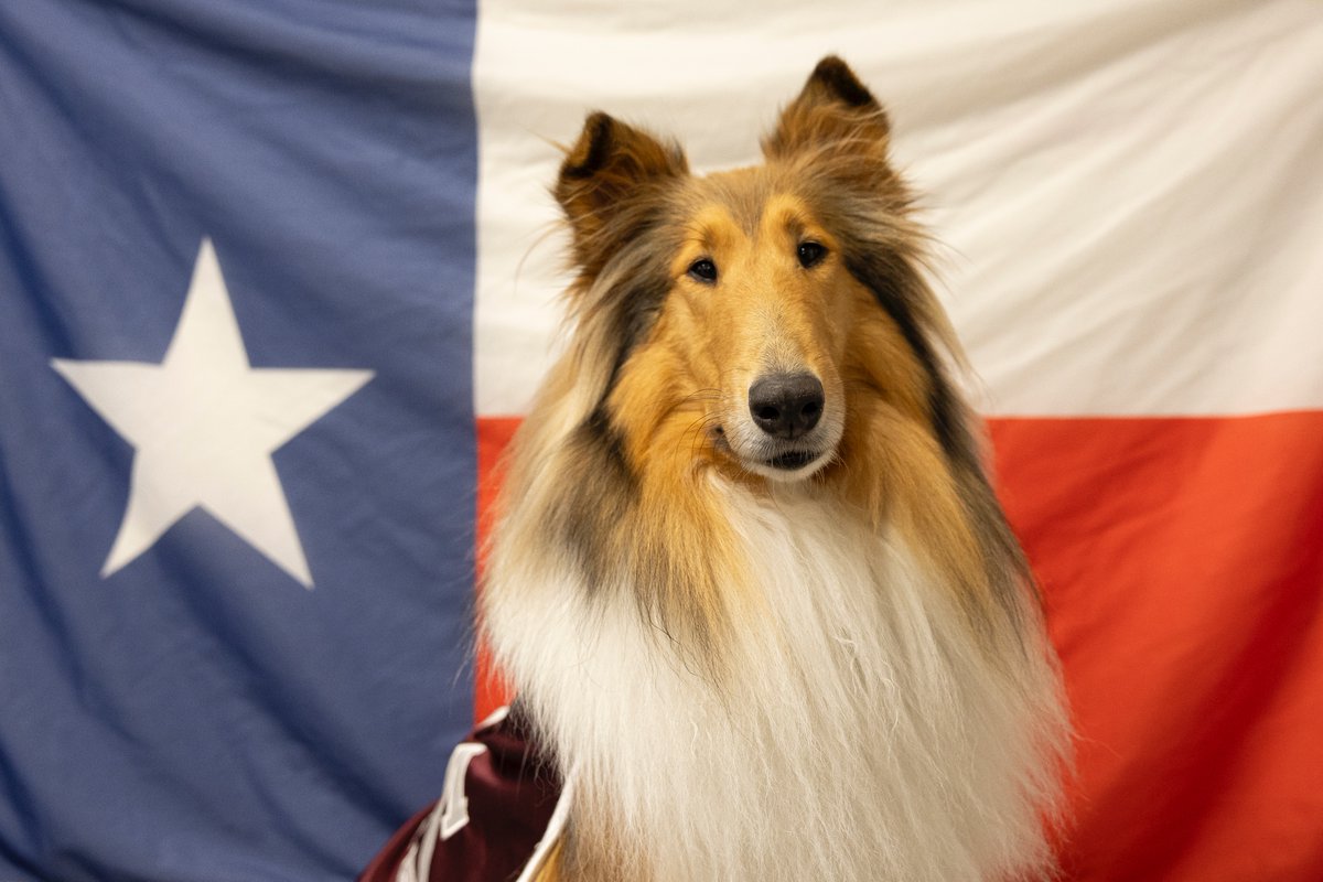 Happy Texas Independence Day, my Aggies!!! I ♥️ Texas and I love YOU!!!