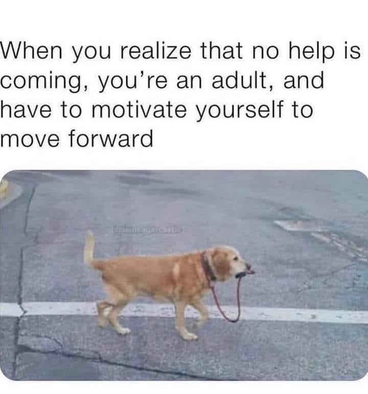 CyberSnark's tweet image. 