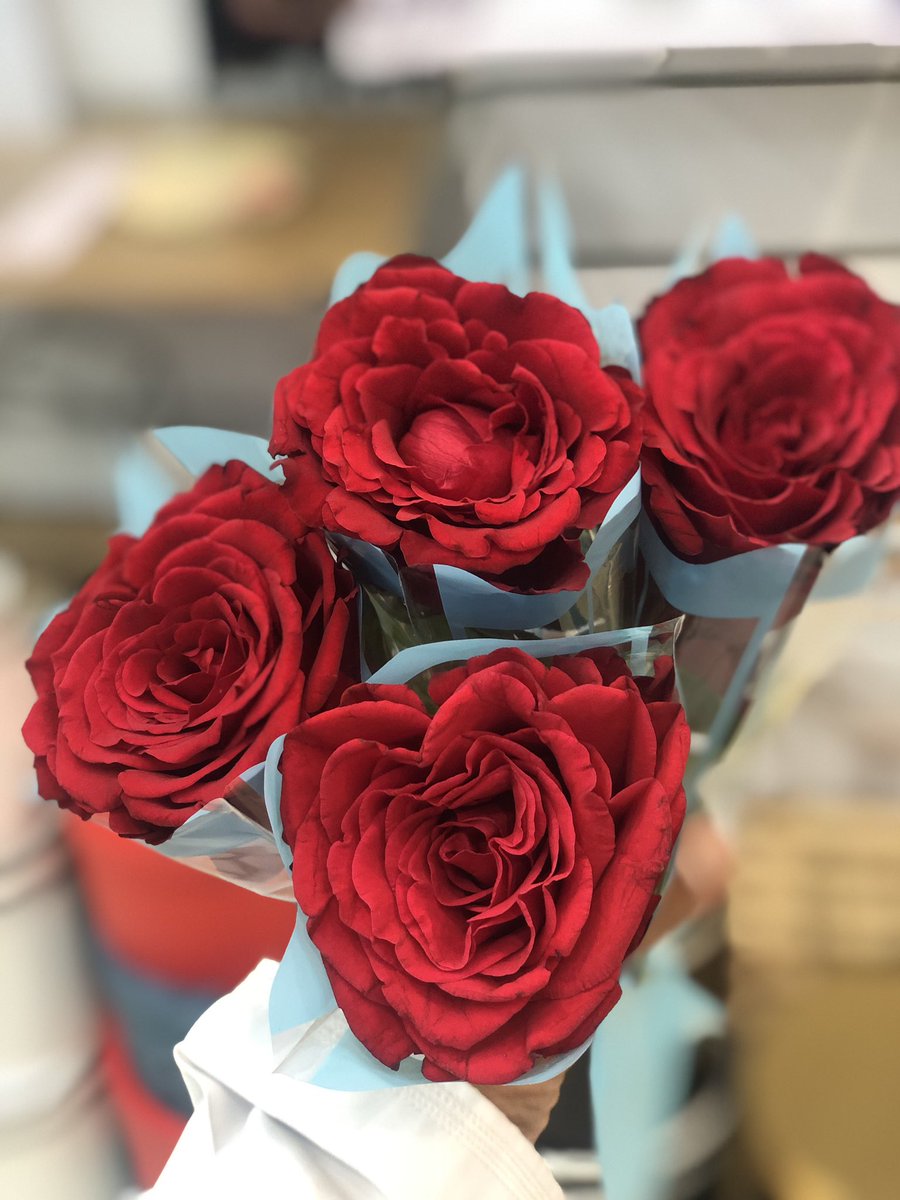 موطن الورد ضحكتْك وعيونك♥️
#مساء_الخير