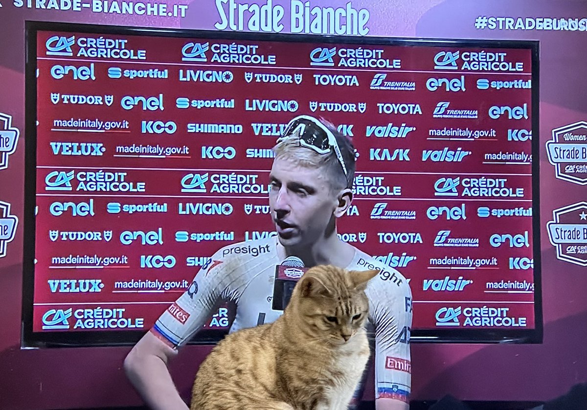 Rachael Elliott (@rach_e) on Twitter photo I’ve never seen the winner of a bike race have their cat join them for their post-race interview. Magical. <a href="/TamauPogi/">Tadej Pogačar</a> #StradeBianche I’ve never seen the winner of a bike race have their cat join them for their post-race interview. Magical. <a href="/TamauPogi/">Tadej Pogačar</a> #StradeBianche