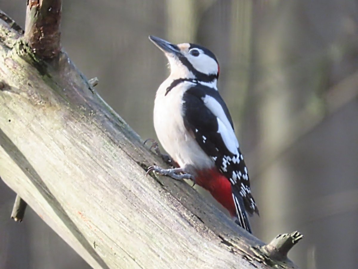 #NietZonderNatuur