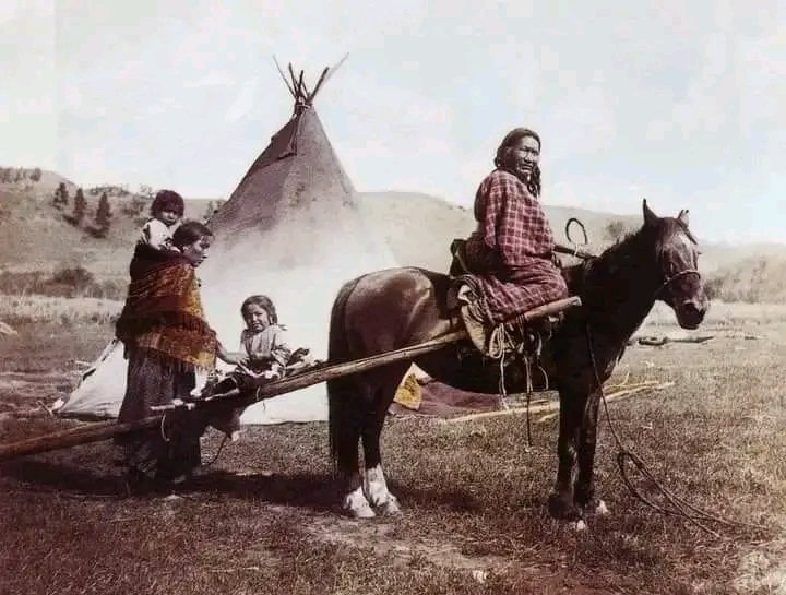 Julia Tuell took this photo of a family and horse travois on the Northern Cheyenne Reservation in 1906. She identified the woman on the horse as Strong Left Hand. #NativeAmerican #Indigenous #NativeAmericans #NativeTwittee