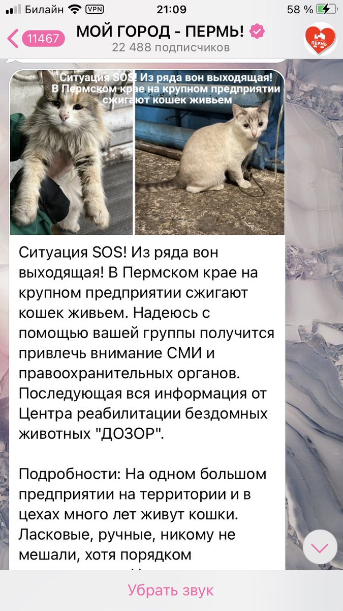 откусите себе голову tweet media