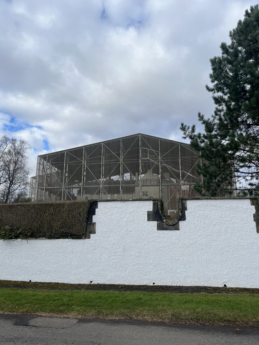 Alexandra D-S (she/her) tweet media