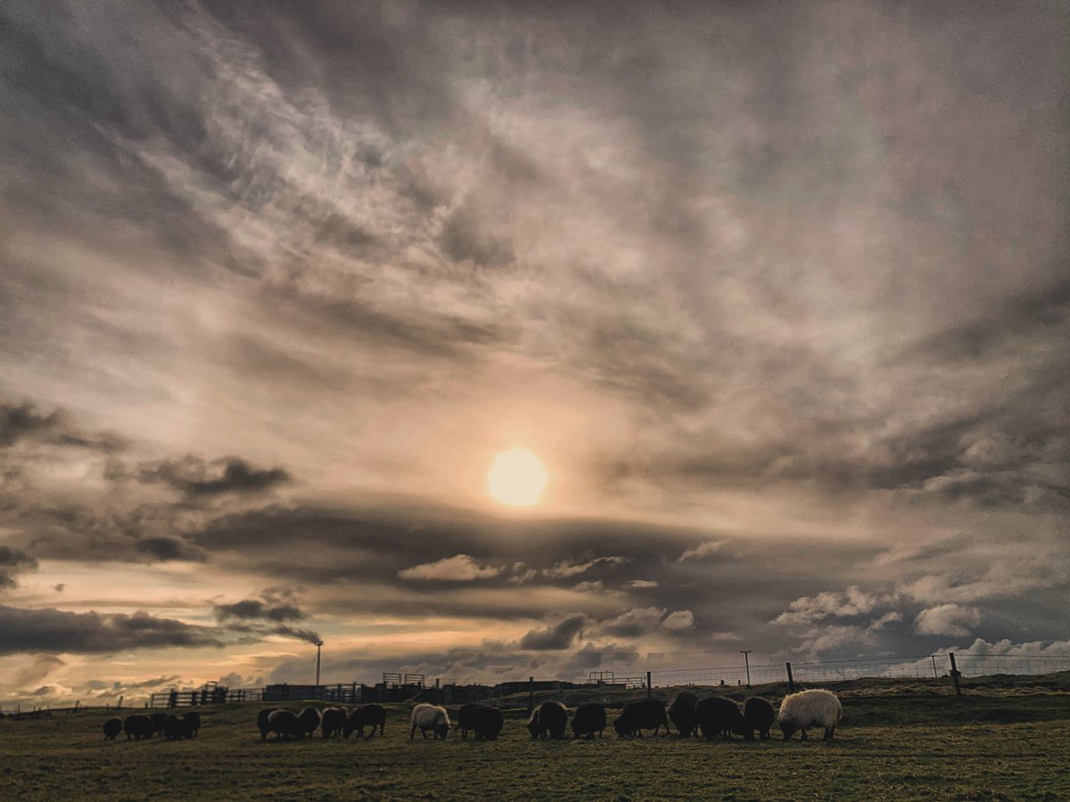 Crofting around…
Sun Halo while feeding the flock.
Lambing season coming soon.
Easter time for the first lambs.

#WeekendVibes #farming #croft #Spring #StormHour #jefinuist #outerhebrides #Scotland