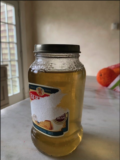 Ecological Culture Initiative tweet media