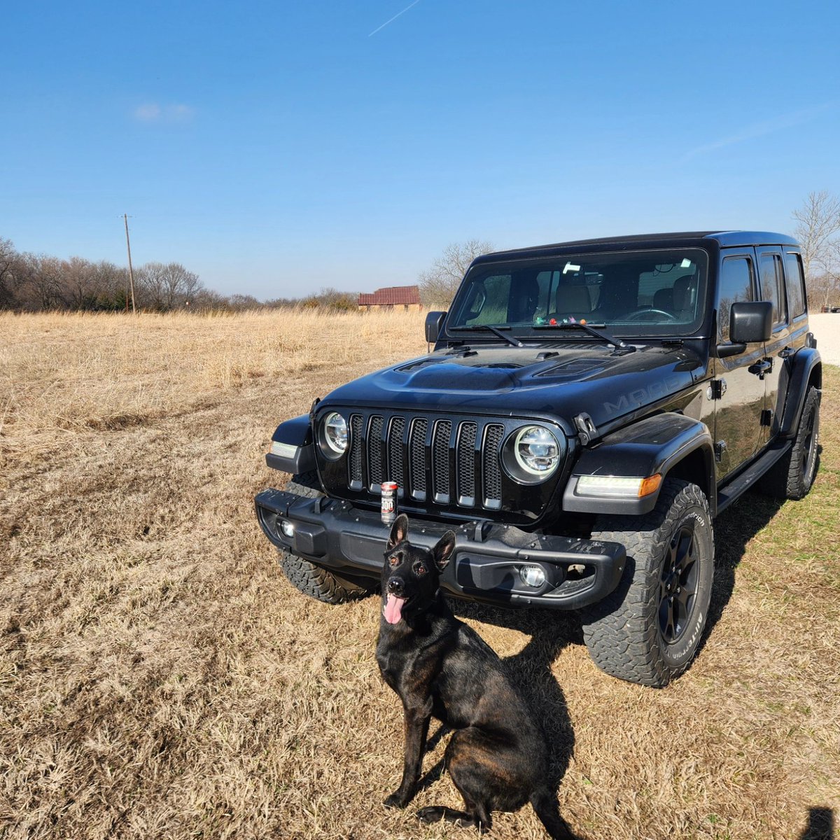 JeepersOTPlains's tweet photo. What's better than dogs with jeeps! Good morning from the Land of Oz!
#jeeplife #jeepnation #blackjeeps #blackdogs #dutchshepard #moabwrangler
@blckriflecoffee https://t.co/obzQ1AwB1E