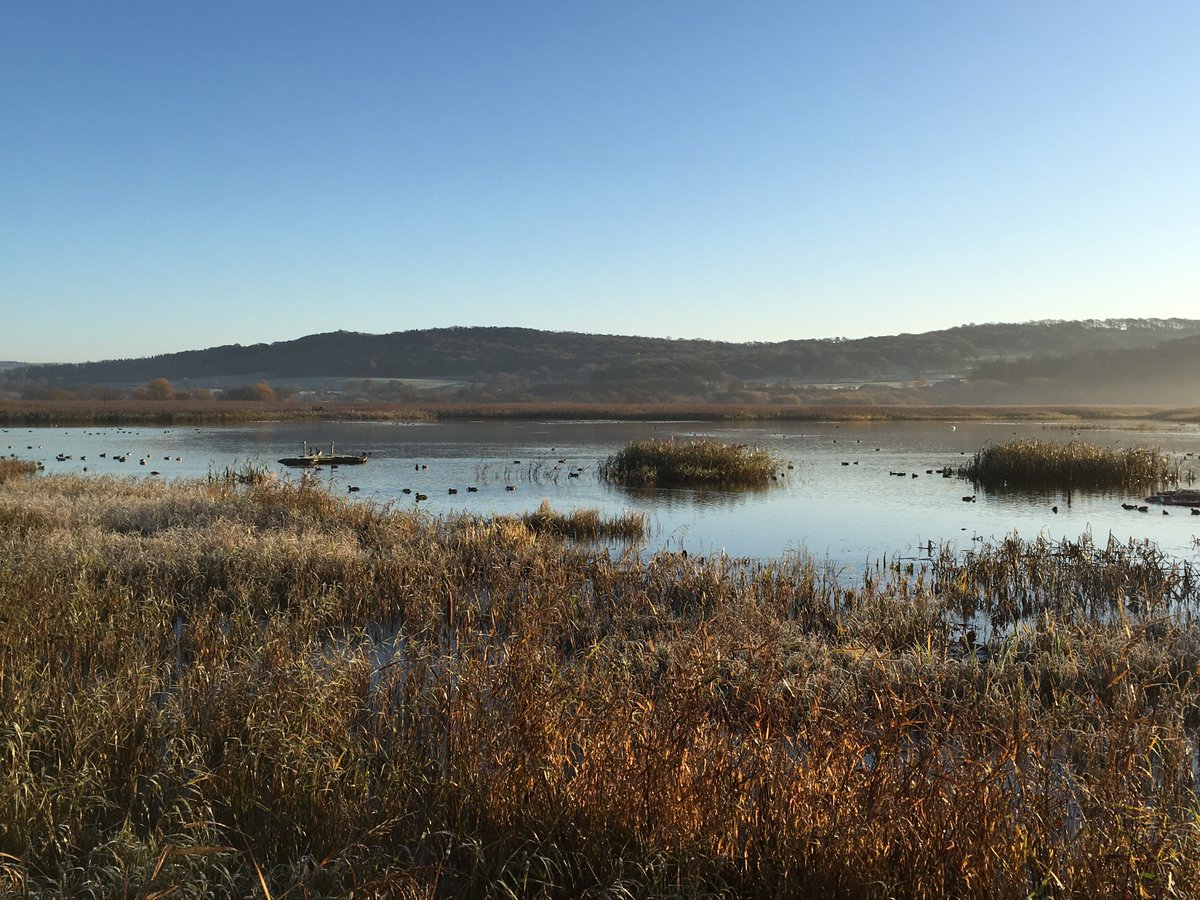 Join our brilliant volunteer guide, John, for a Meander on the Moss on Sat 9 March, he'll take you on a gentle walk around the reserve and give you some fascinating insights into the history and wildlife at Leighton Moss. Book your spot now events.rspb.org.uk/events/68152 pic J Carter