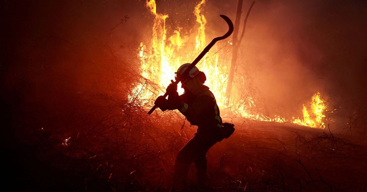Spain braces for wildfires as beef farmers battle red tape reut.rs/4c1wUJK