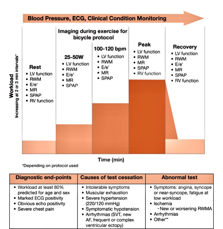 🔴ASE guideline for #stressEcho in Ischemic Heart Disease.  

Full pdf here: asecho.org/wp-content/upl…
#cardiology #cardiotwitter #CardioEd #MedEd #medtwitter #medical #cardiox #medicine #echofirst
