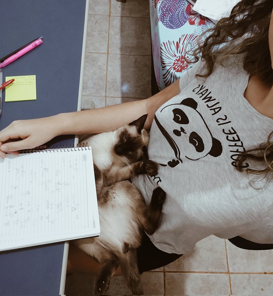 studyrorol's tweet image. - carollina 
- 17 anos 
- 2° ano de cursinho 
- foco: medicina UNIR, UNEMAT e UFSC 
interesses: estudos, academia, vida saudável, taylor swift, ABBA, animais e política (100% de esquerda) 
#studytwt #studytwtbr 
♡ to be mutuals