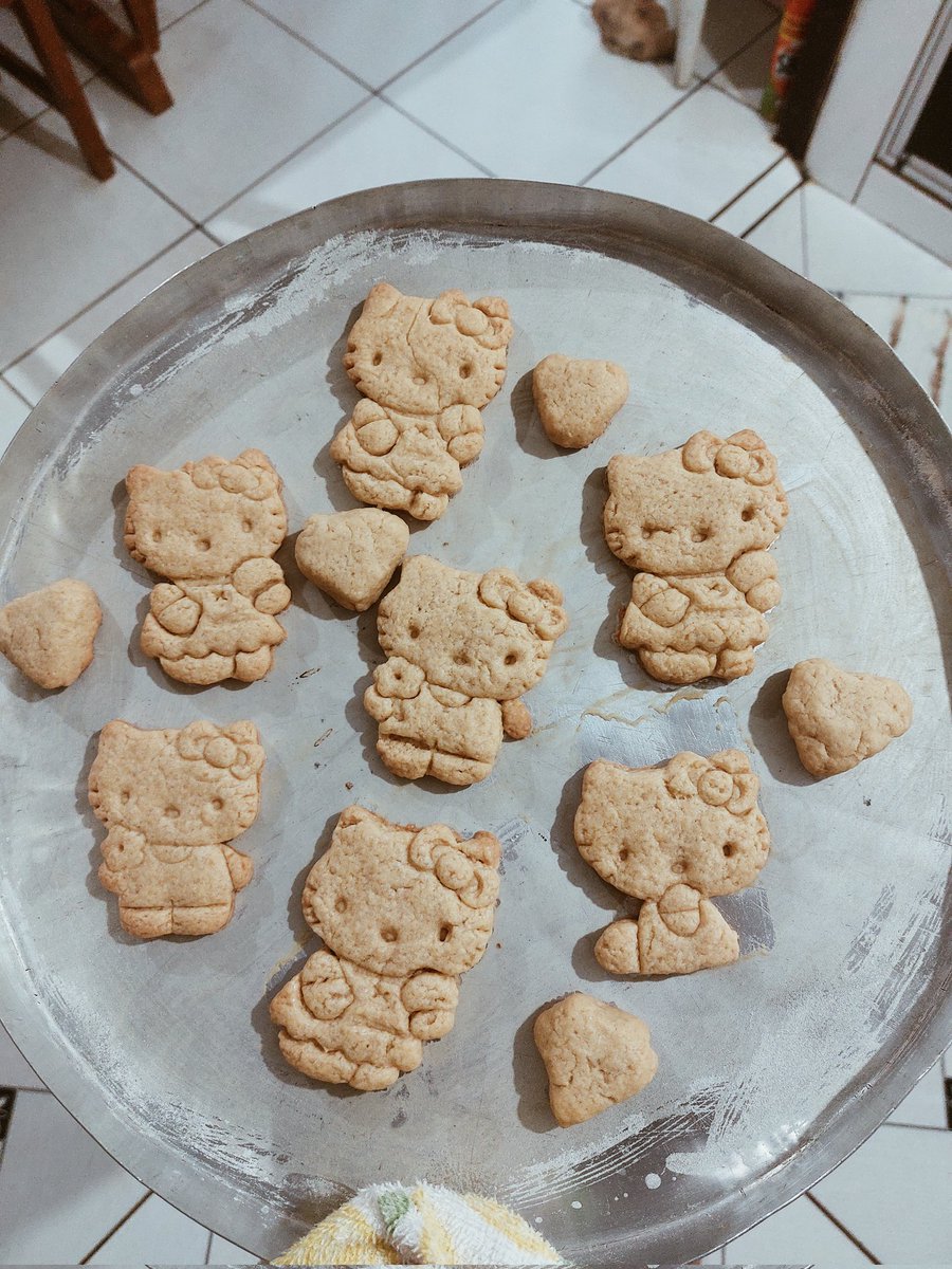 studyrorol's tweet image. - carollina 
- 17 anos 
- 2° ano de cursinho 
- foco: medicina UNIR, UNEMAT e UFSC 
interesses: estudos, academia, vida saudável, taylor swift, ABBA, animais e política (100% de esquerda) 
#studytwt #studytwtbr 
♡ to be mutuals