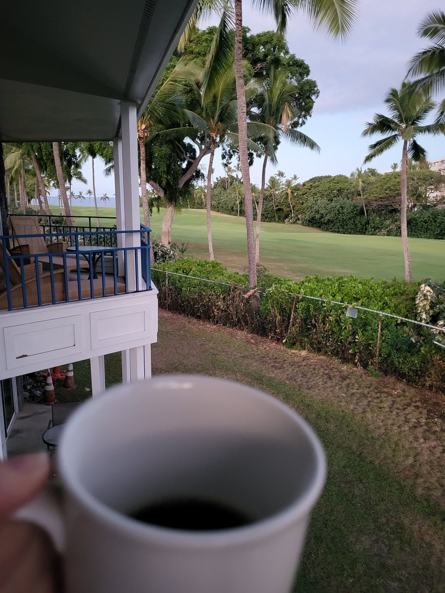 #CoffeeMorning  ☕️😊
Aloha! 🙋‍♀️
#CafeAmericano #HawaiTrip