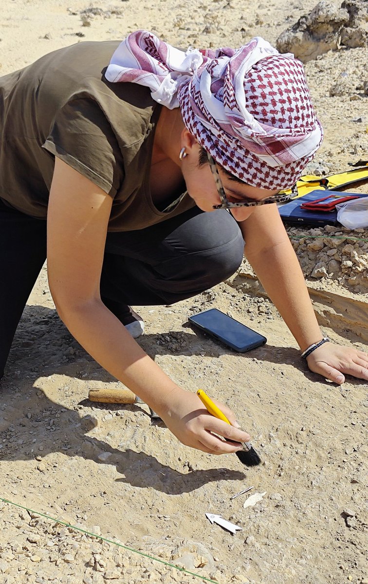 The first of Duqm publications is out! A unique Neolithic shelter with a stratified lithic assemblage capturing Late Palaeolihic->Neolithic transition in SE Arabia.  Research led by @pia_maiorano Open access and on the cover! More exciting stuff to come. apcz.umk.pl/ET/issue/view/…