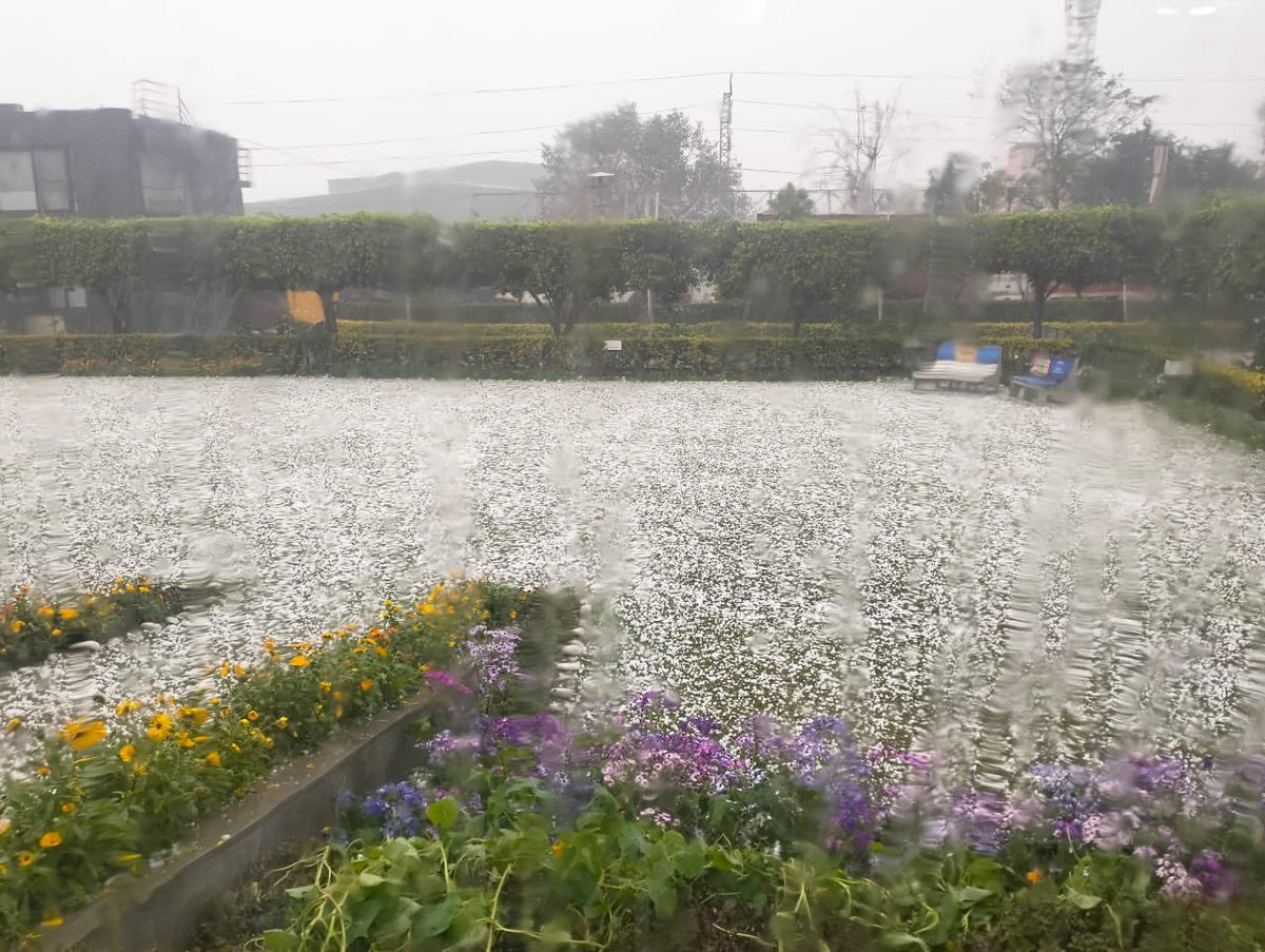 indiametsky's tweet image. Massive destruction caused by #hailstorm in various parts of #Nohar, #Bhadara, #Rohtak, #Sonipat and parts of #Jhajjar where scattered supercells brought intense #hailstorms and the worst in the history.

Pic1: Rohtak
Vid1: Manheru
Vid2: Bhadra
Vid3: Nohar (solar farms damaged)